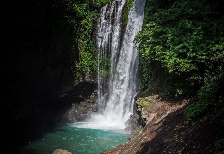 Bali/Lovina: Dolphin Snorkeling, Swimming & Waterfall Tour - Snorkeling over Lovina’s coral