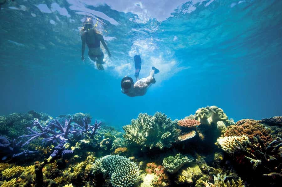 Bali/Lovina: Dolphin Snorkeling, Swimming & Waterfall Tour - Transport, timing, and the real price