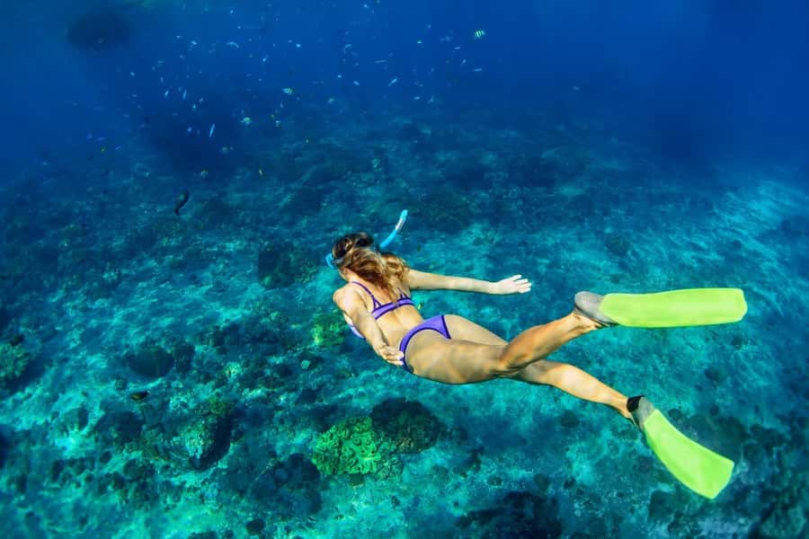 Bali/Lovina: Dolphin Snorkeling, Swimming & Waterfall Tour - What to pack for a wet, early start