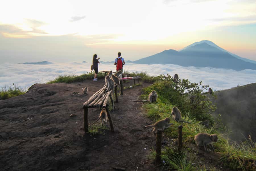 Bali: Mount Batur Sunrise Hike and Hidden Waterfall - The descent and the Mt. Batur Lounge