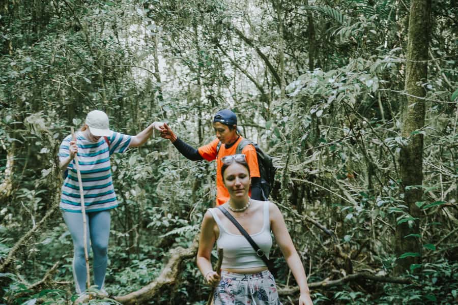 Bali: Munduk Waterfalls Trek, Twin Lakes and Temple Tour - What makes this Munduk tour special
