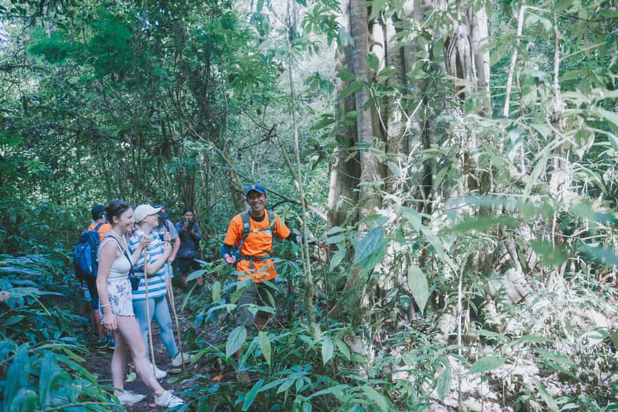 Bali: Munduk Waterfalls Trek, Twin Lakes and Temple Tour - Banyumala Twin Waterfall: the day’s big reward