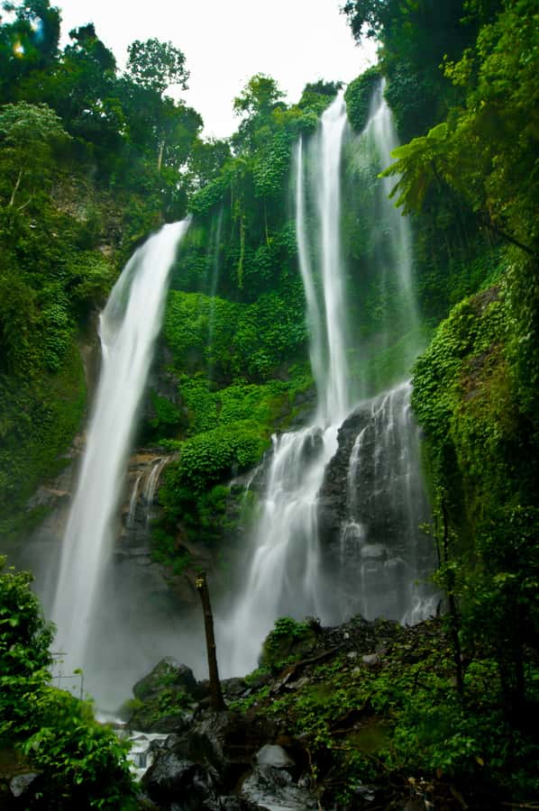 Bali Northern Trip : Majestic Waterfall Tour - Key things to know before you go