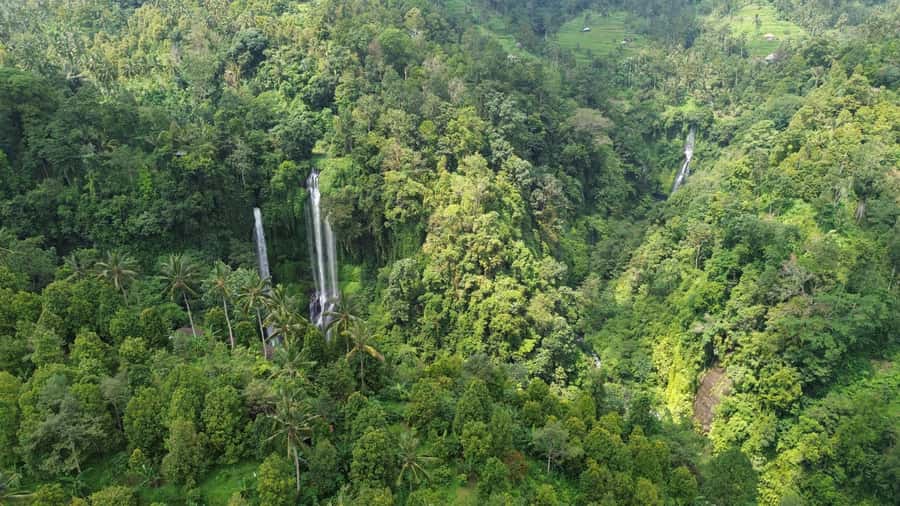 Bali Northern Trip : Majestic Waterfall Tour - Who will enjoy this northern Bali day trip?