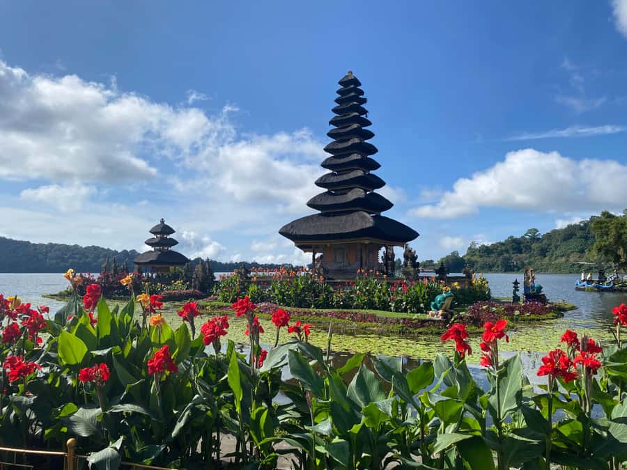 Bali Northern Trip : Majestic Waterfall Tour - Should you book the Majestic Waterfall Tour?
