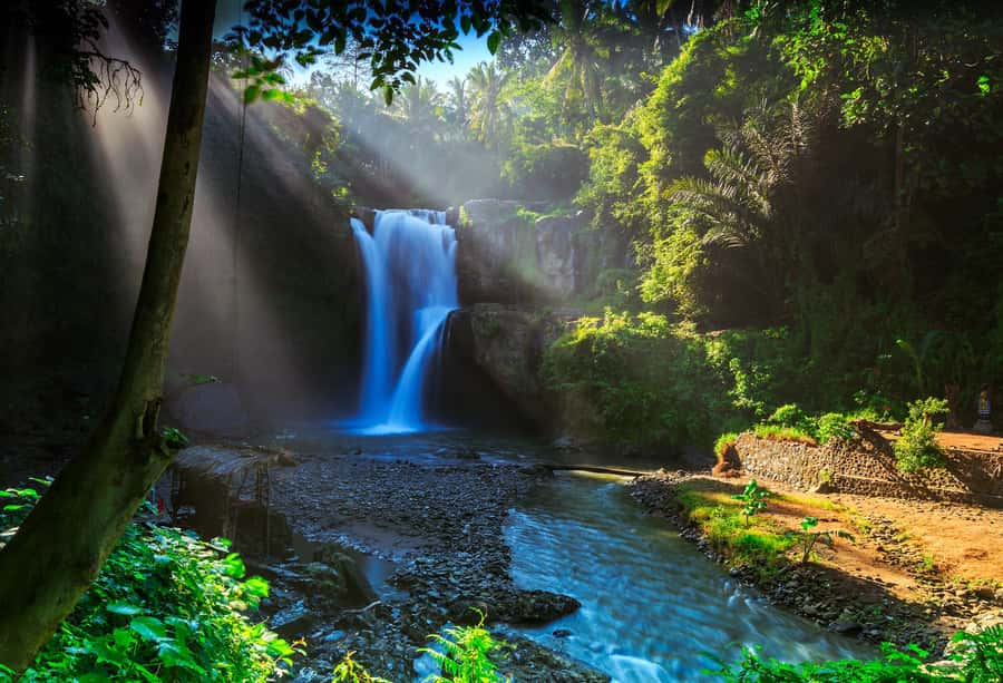 Bali: Penglipuran Village, Rice Terrace & Waterfall Tour - What the transport adds to the price
