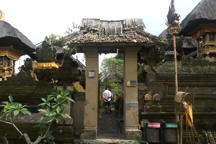 Bali: Penglipuran Village, Rice Terrace & Waterfall Tour - The waterfall and swing add fun, with a few tradeoffs