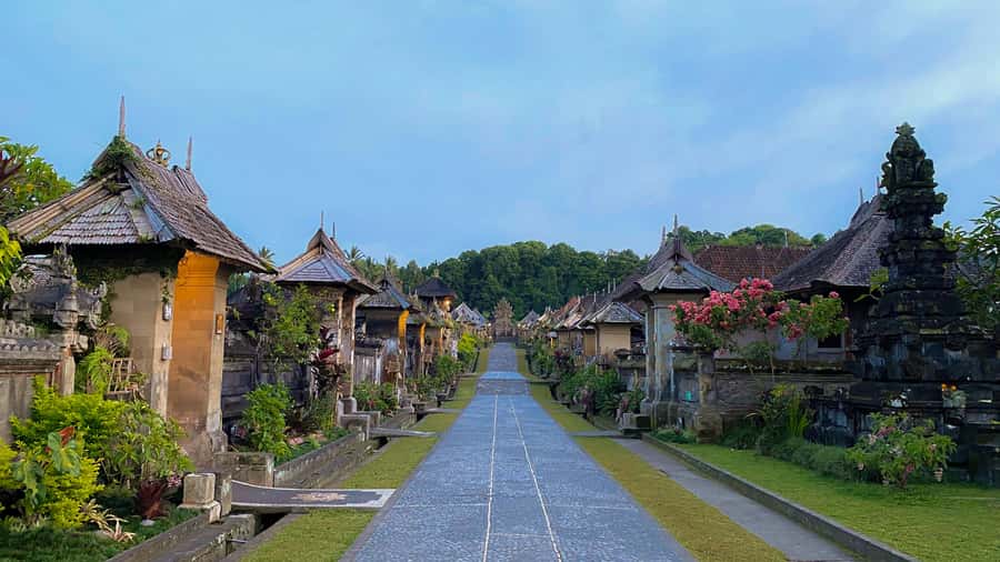 Bali: Penglipuran Village, Rice Terrace & Waterfall Tour - Timing, comfort, and what to pack