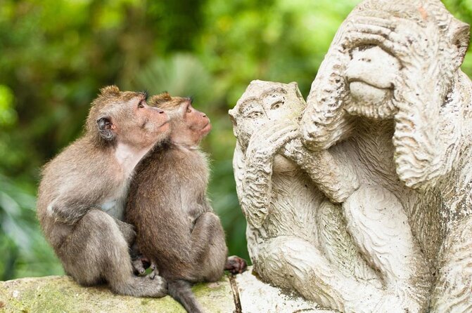 Bali Quad Bike Through Gorilla Cave - Monkey Forest and Waterfall - What makes this Bali day trip worth considering