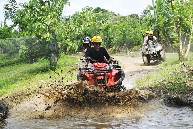 Bali Quad Bike Through Gorilla Cave - Monkey Forest and Waterfall - Optional coffee and tea stops can extend the day