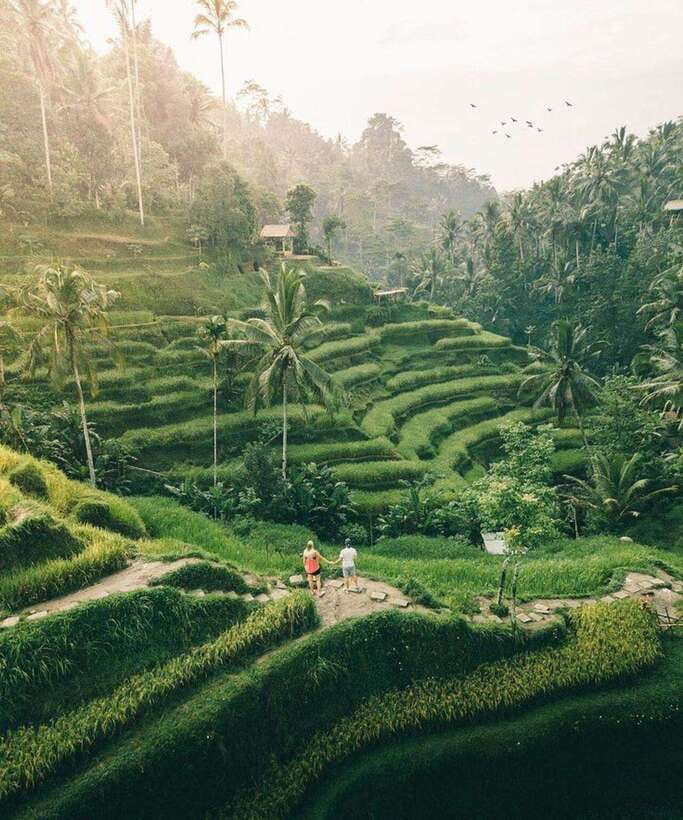 Bali: Rice terrace, Waterfall, and water Temple Day Tour - Tirta Empul and the Melukat purification ritual