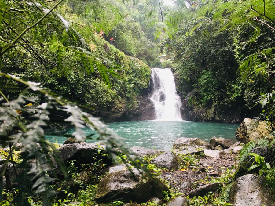 Bali: Sambangan Waterfalls Trekking, Sliding, & Jumping Trip - Lunch, showers, and the return transfer
