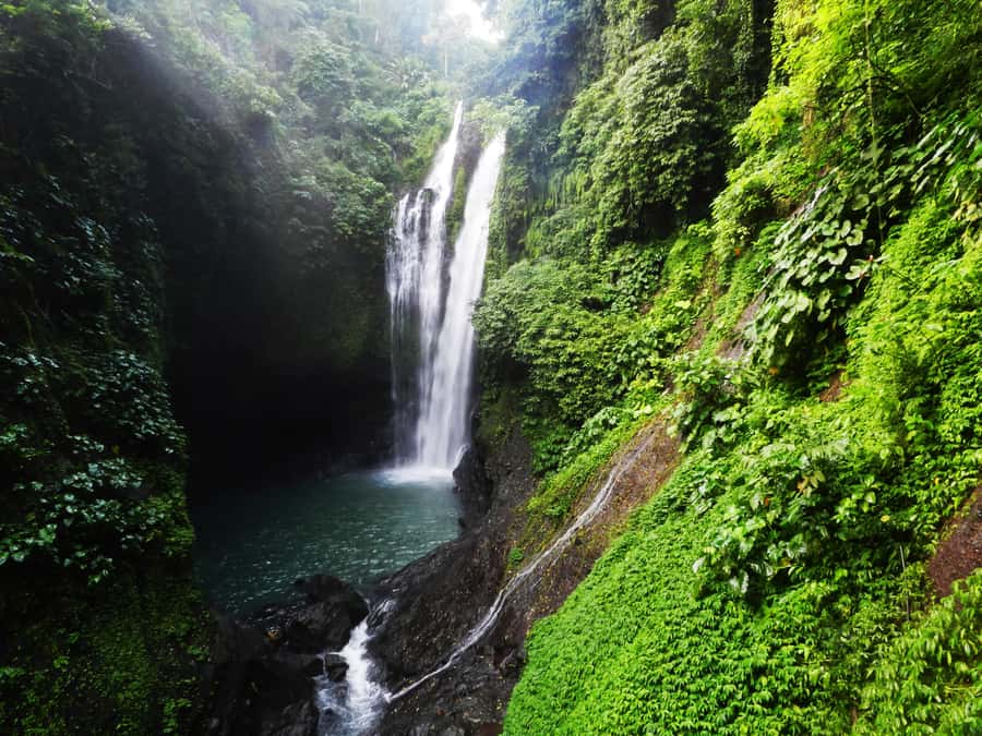 Bali: Sambangan Waterfalls Trekking, Sliding, & Jumping Trip - Walking through rice fields and plantations