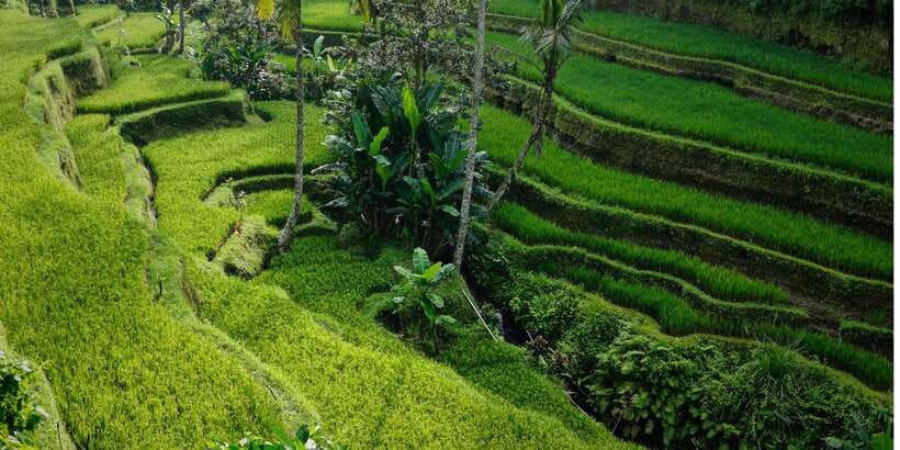Bali: Secret Garden, Ulun Danu Temple and Waterfall Tour - What $42 includes and what it does not