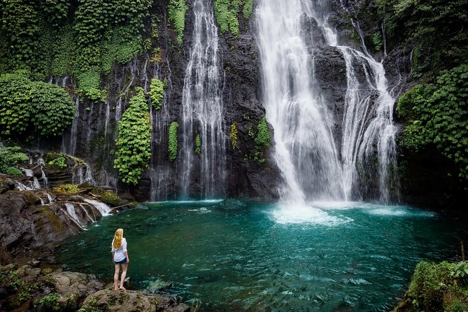 Bali Secret Waterfall Tour - Private and All-Inclusive - What the private guide adds