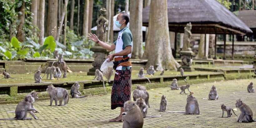 Bali Secret Waterfalls with Ulun Danu Beratan Temple Tour - Why this northern Bali day works