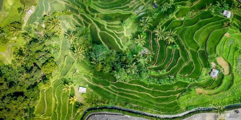 Bali Secret Waterfalls with Ulun Danu Beratan Temple Tour - What the private format adds
