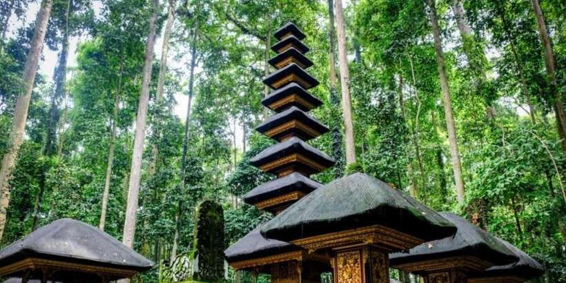 Bali Secret Waterfalls with Ulun Danu Beratan Temple Tour - Is $35 good value?