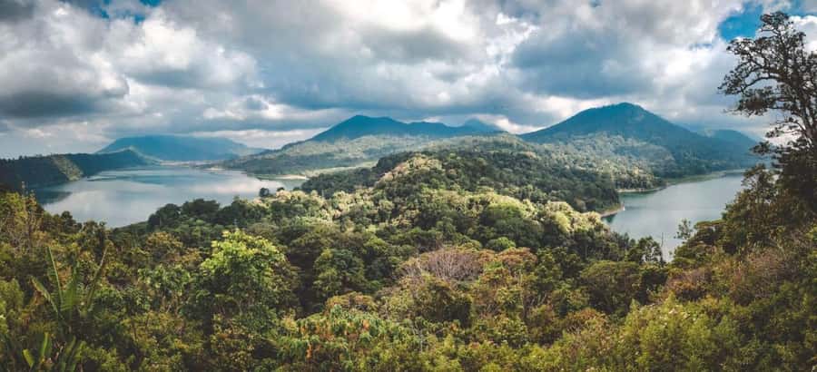 Bali: Sekumpul and Banyumala Waterfall Guided Trek - Key things to know before you book