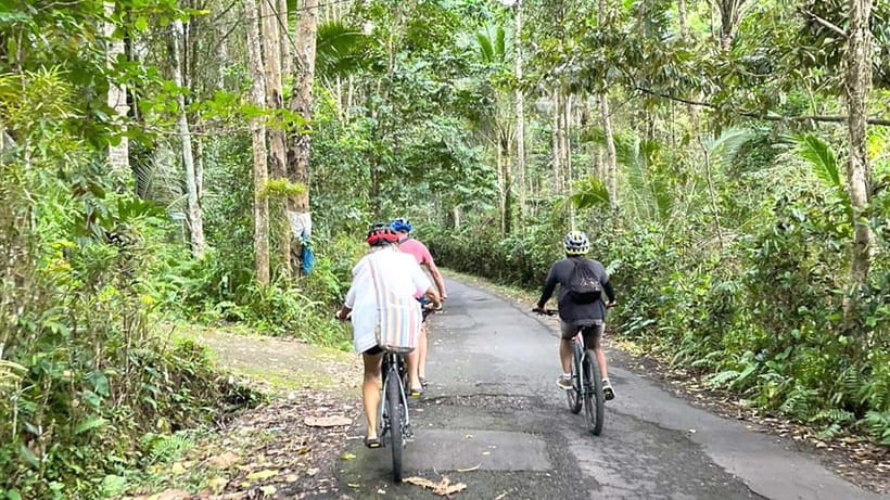 Bali: Sidemen Valley Cycling Tour with Gembleng Waterfall - Temple culture along the route