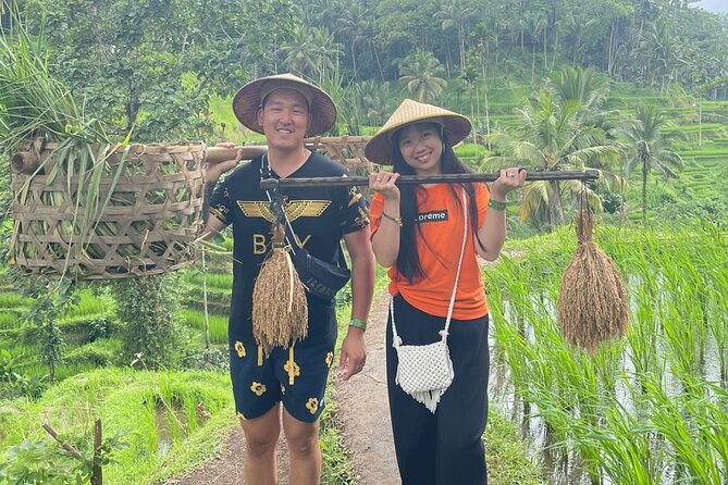 Bali Swing Hot Spring And Waterfall Private Guided Tour - Tegenungan Waterfall: a final splash of scenery