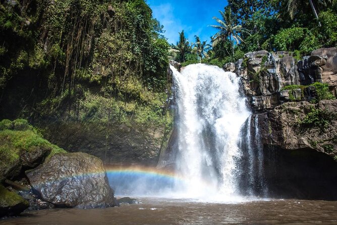 Bali Swing Hot Spring And Waterfall Private Guided Tour - Ubud Monkey Forest: a green opening to the day