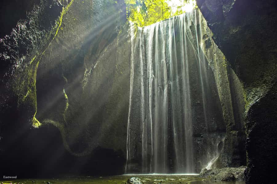 Bali: Swing with Falls, Rice Terrace, & Monkey Forest Option - Choosing between Tegallalang and the waterfalls