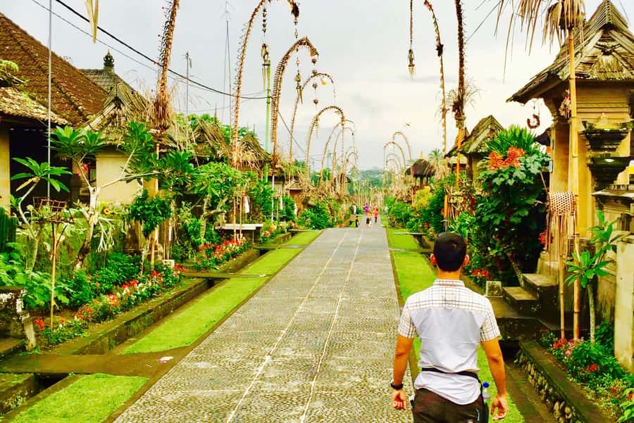 Bali: Swing with Falls, Rice Terrace, & Monkey Forest Option - Coffee, Tirta Empul, and massage add-ons