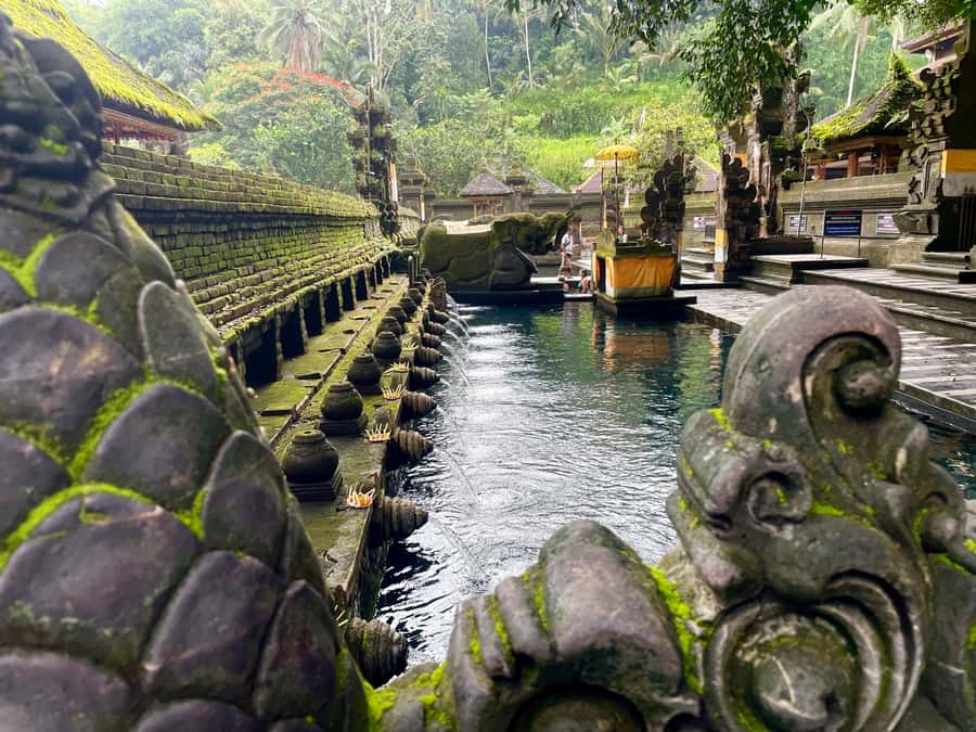 Bali: Tirta empul Temple, Rice terrace and Waterfall - Key points at a glance