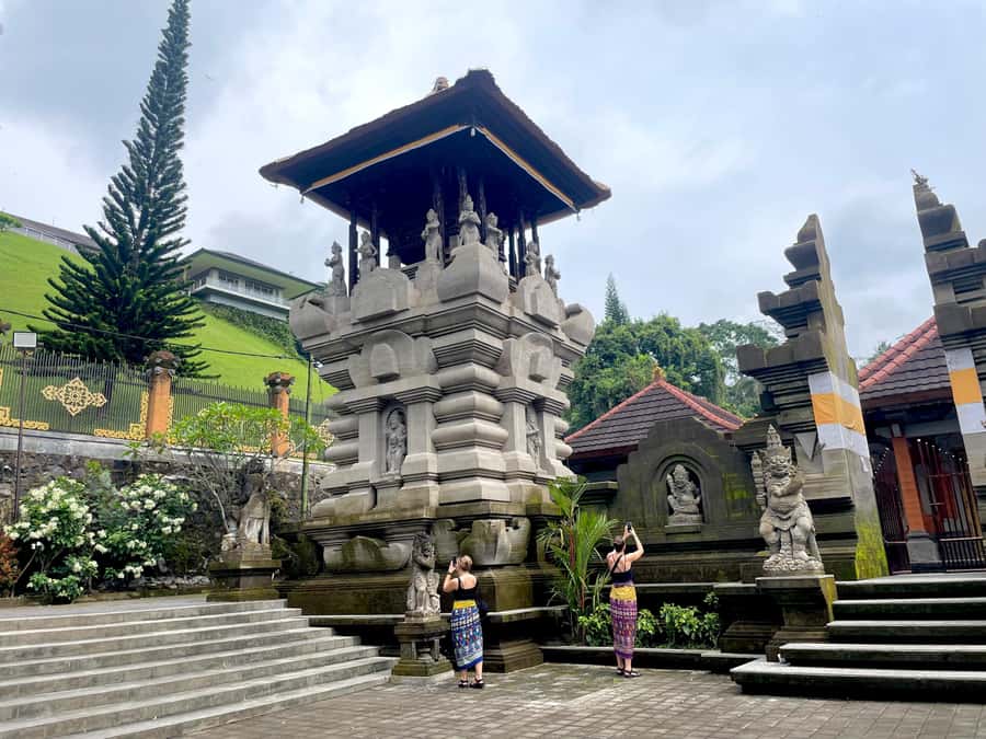 Bali: Tirta empul Temple, Rice terrace and Waterfall - Why this private Ubud route works