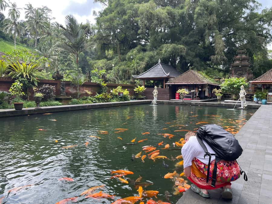 Bali: Tirta empul Temple, Rice terrace and Waterfall - The coffee plantation adds more than a tasting stop