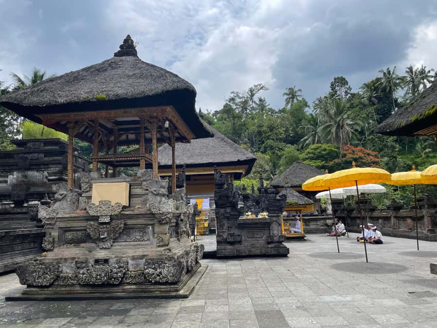 Bali: Tirta empul Temple, Rice terrace and Waterfall - How the guide shapes the day