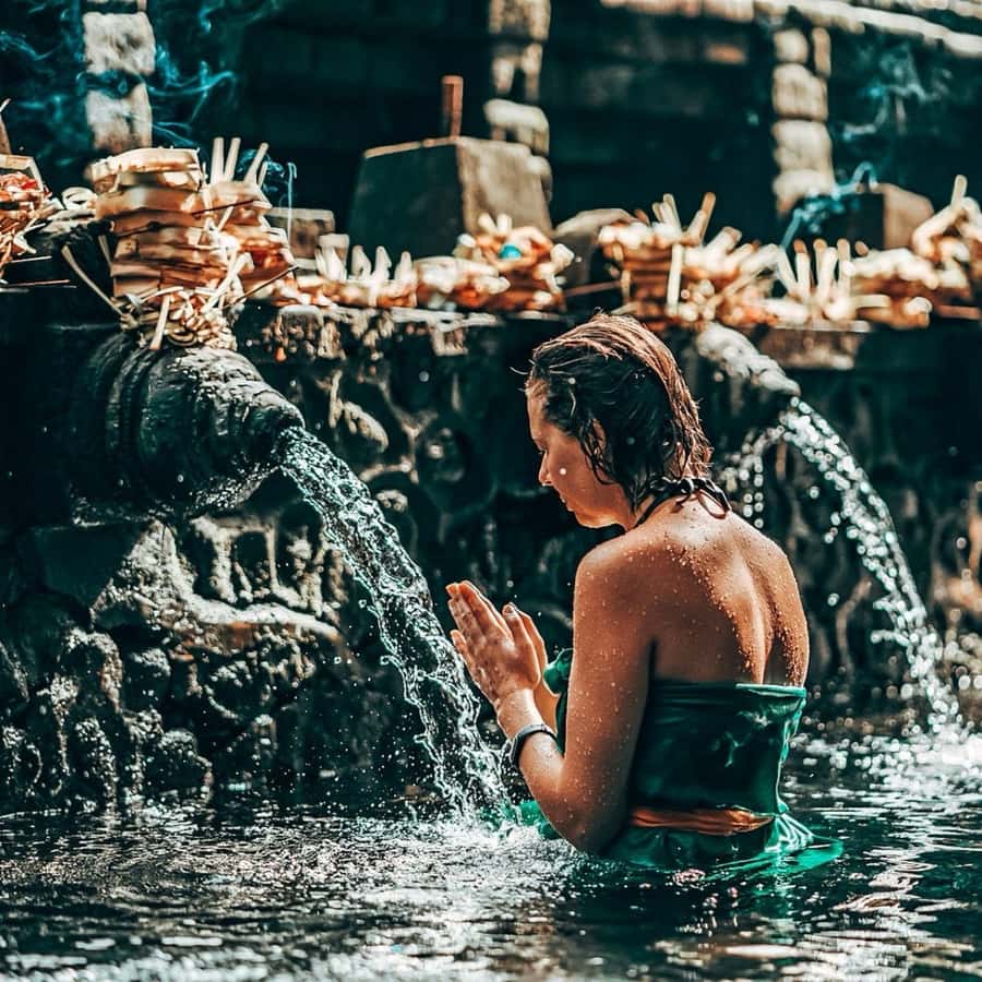 Bali: Tirta empul Temple, Rice terrace and Waterfall - Tegalalang Rice Terrace: Bali’s famous farm views