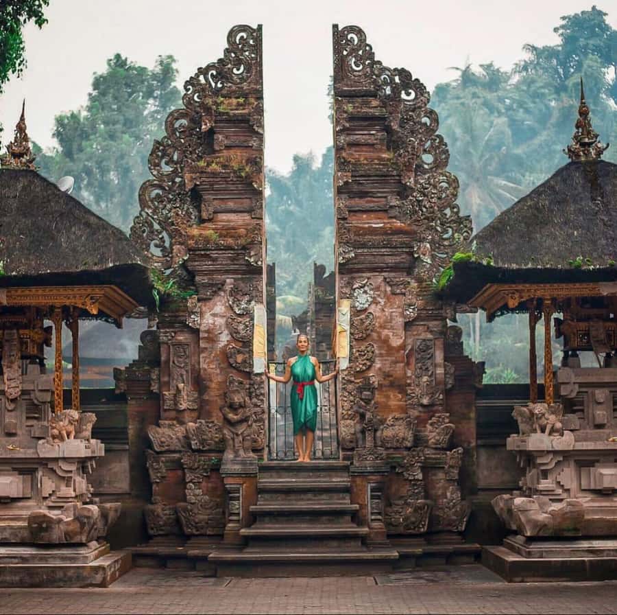 Bali Top's 3 Waterfalls - Temple And Rice Terrace - Segara Windhu Coffee Plantation and Kopi Luwak