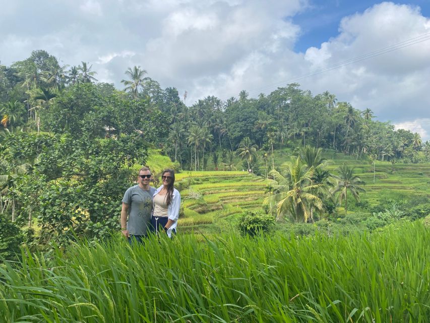 Bali Top's 3 Waterfalls - Temple And Rice Terrace - Tegallalang Rice Terrace: a scenic final stop
