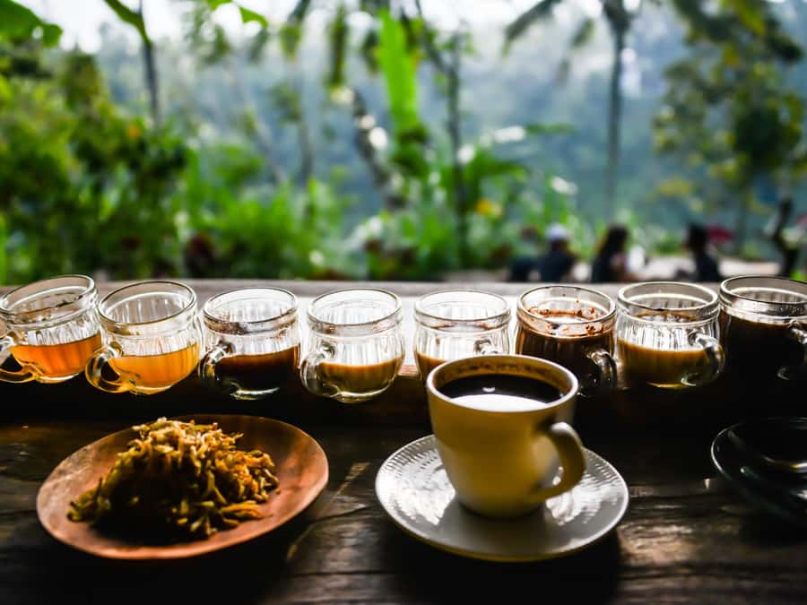 Bali: Ubud Adventure, ATV, Monkey Forest& Waterfall Tour - Sacred Monkey Forest Sanctuary and its temple setting