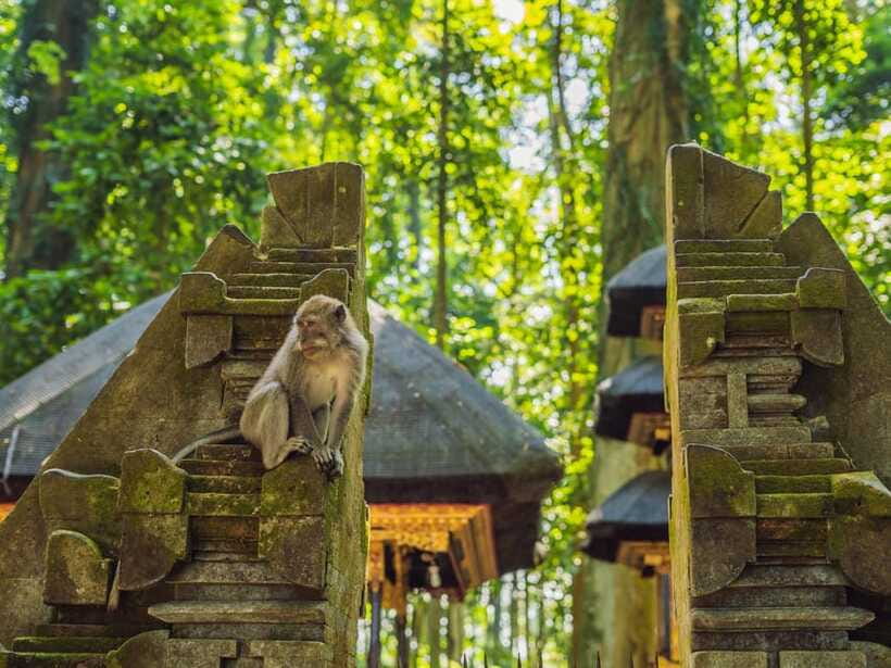 Bali: Ubud Adventure, ATV, Monkey Forest& Waterfall Tour - Tegenungan Waterfall for a final swim