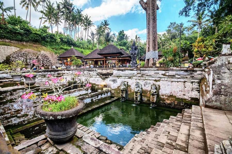 Bali: Ubud, Monkey Forest, Ancient Temple, Waterfalls - Key points at a glance