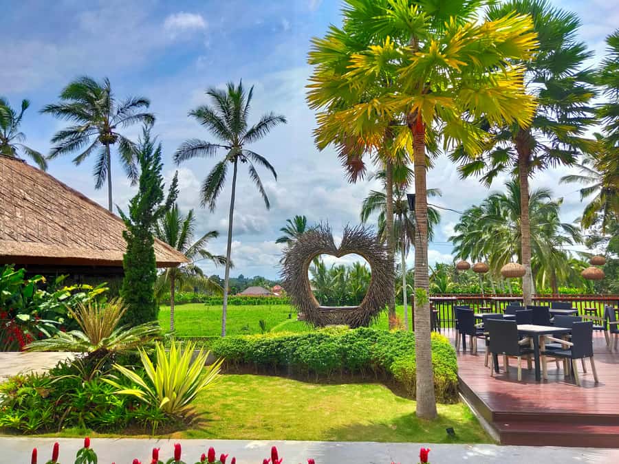 Bali: Ubud, Monkey Forest, Ancient Temple, Waterfalls - Lunch with views around Ubud