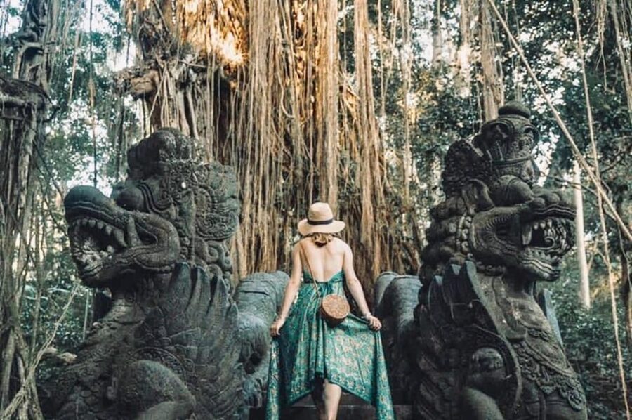 Bali: Ubud Monkey Forest, Waterfall, and Rice Terrace Tour - Understanding Tirta Empul, Bali’s Holy Water Temple