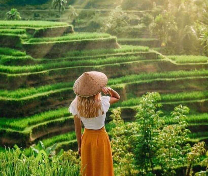 Bali: Ubud Monkey Forest, Waterfall, and Rice Terrace Tour - The right pace, clothing, and expectations