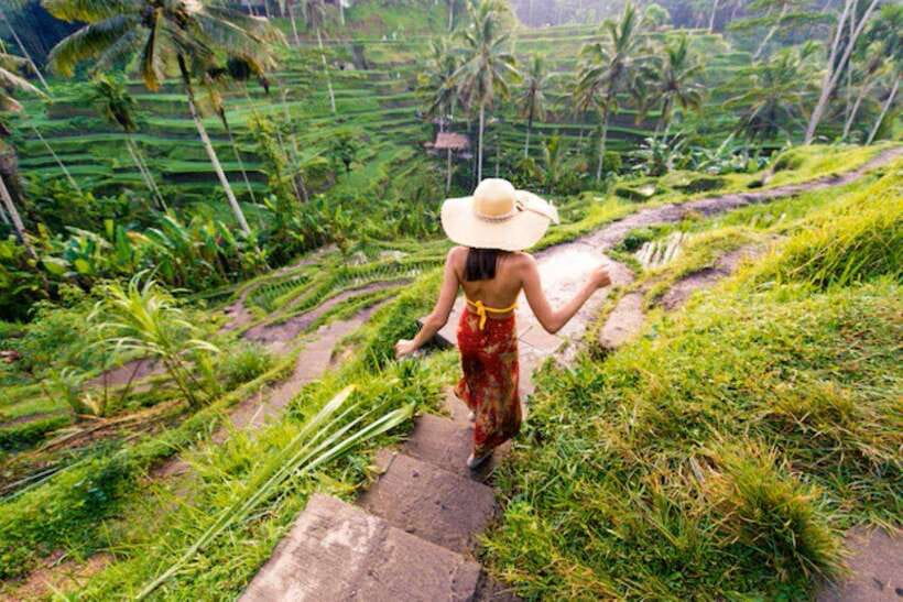 Bali: Ubud Monkey Forest, Waterfall, and Rice Terrace Tour - Starting with the Sacred Monkey Forest Sanctuary