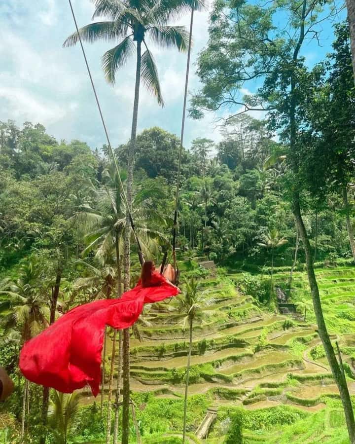 Bali ubud : monkey forest, waterfall , temple - The Bali Swing Photo Stop
