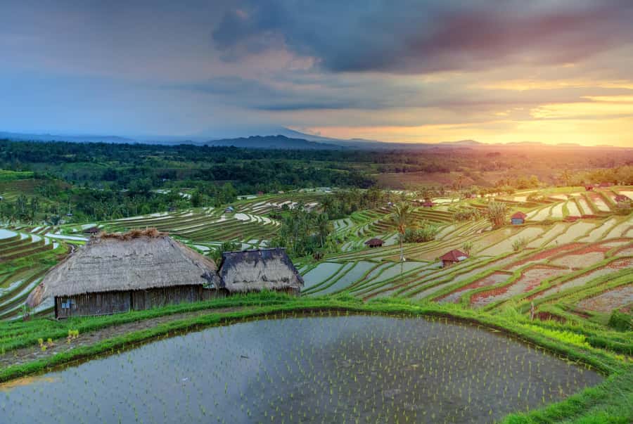 Bali: Water Temple, Waterfalls and Unesco Rice Terrace Tour - Tanah Lot finishes with waves and sunset potential