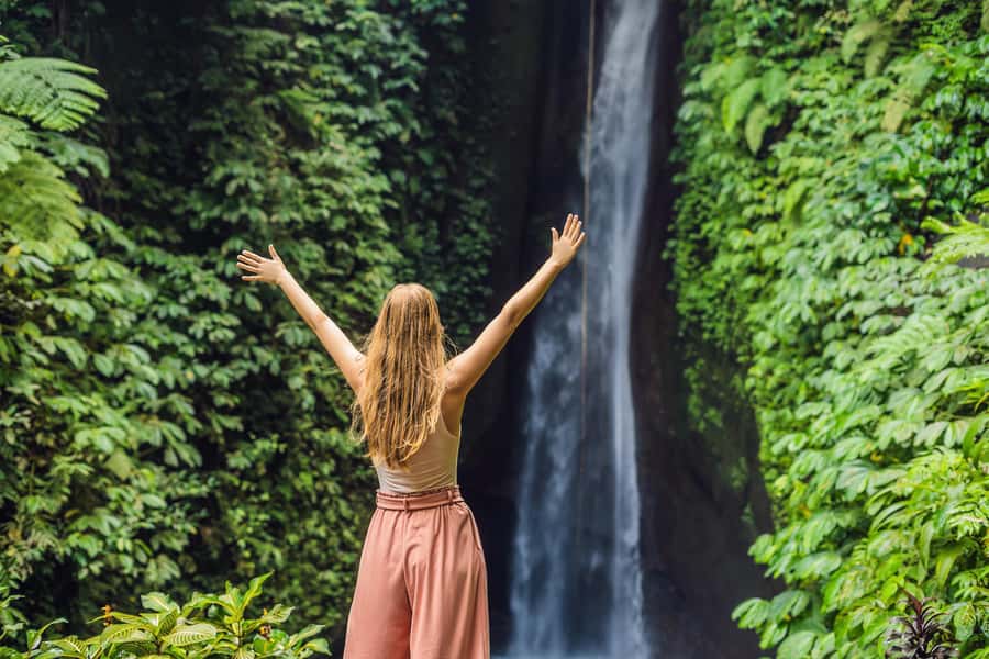 Bali: Water Temple, Waterfalls and Unesco Rice Terrace Tour - The guide and vehicle can make or break the day