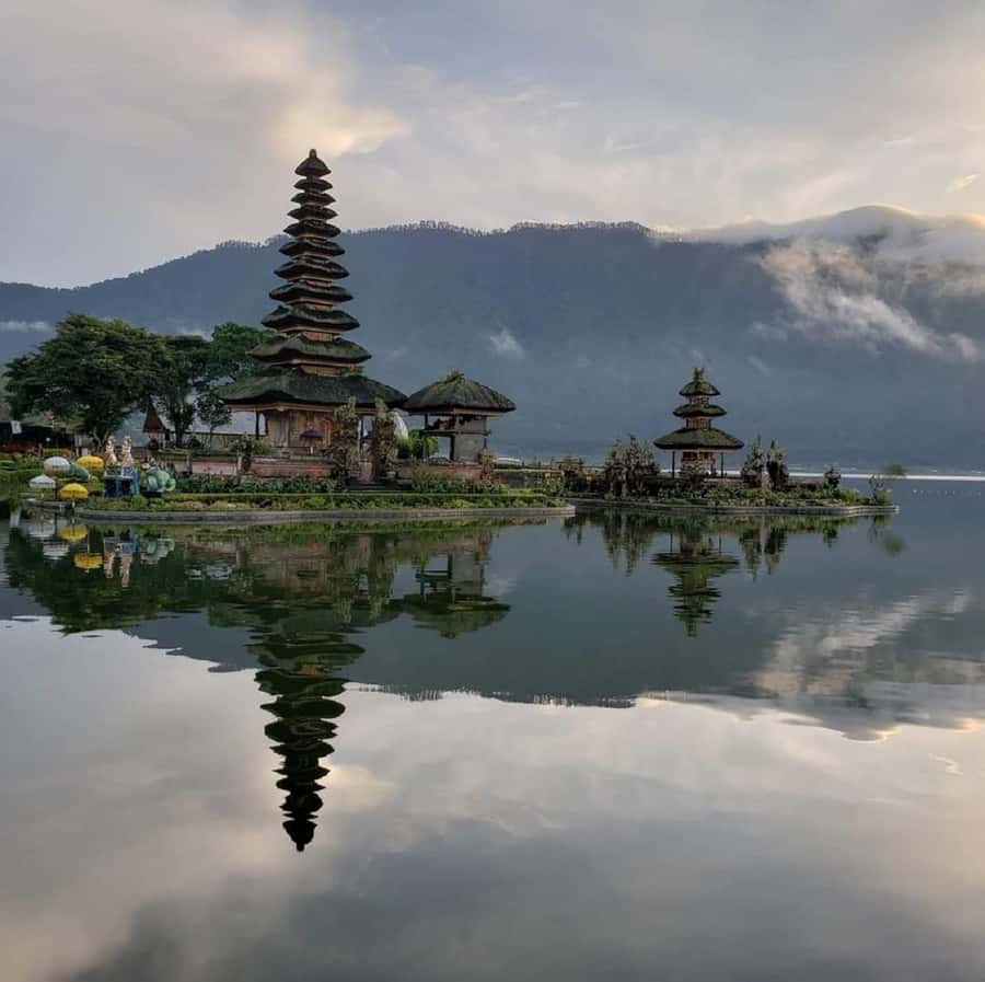 Bali: Waterfalls, Temples, and Rice Terraces Scenic Tour - Why this private Bali day tour works