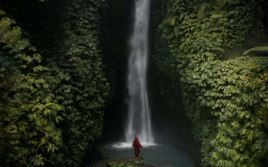 Bali: Waterfalls, Temples, and Rice Terraces Scenic Tour - The optional Jungle Swing needs a closer look