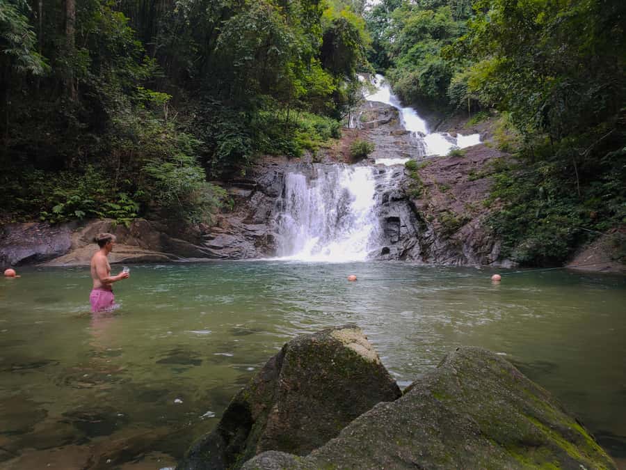 Bamboo Rafting, Waterfall, lunch, Elephant, and Turtle Tour - Sea turtles at Tablamu Navy Base