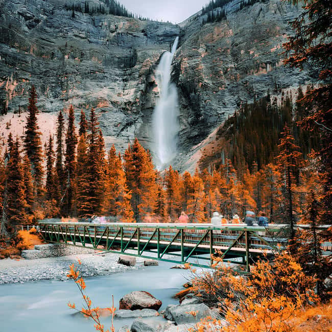 Banff: Emerald Lake, Wapta Falls & Takakkaw Falls Day Trip - Key Points Before You Book