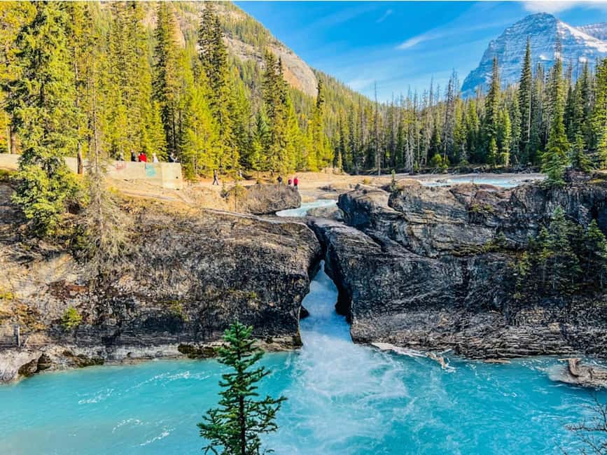 Banff: Emerald Lake, Wapta Falls & Takakkaw Falls Day Trip - A Long Day Made Easier by a Small Group